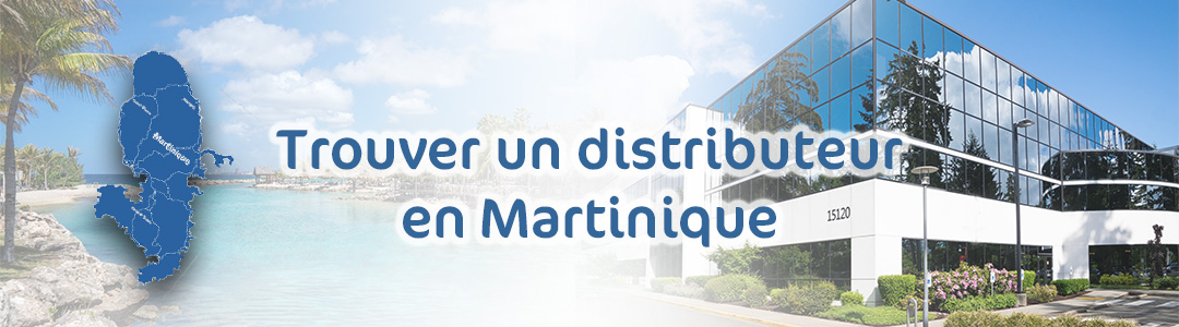 Objets publicitaires et vêtements personnalisés fournisseurs grossistes en Martinique 972 | Avenue Du Cadeau